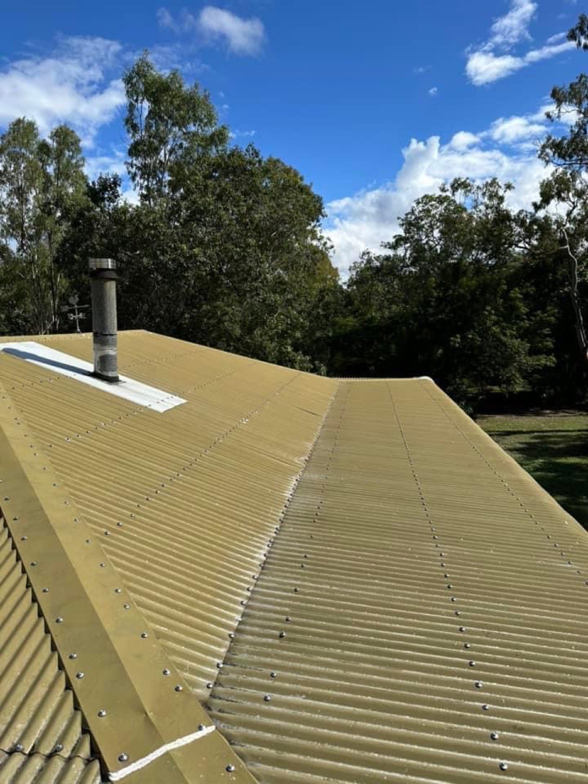 Faded mustard roof before recoating